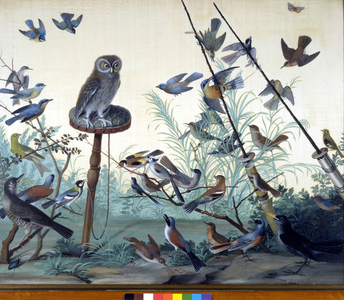 The owl used for hunting. Painting by Raineri. 18th century.