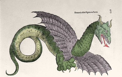 Representation by Ambroise Pare (1509-1590) in her book “” Monsters and wonders””. Gravrue d'Ulisse Aldrovandi (1522-1605), “Monstrorum Historiae””, Bologna 1642
