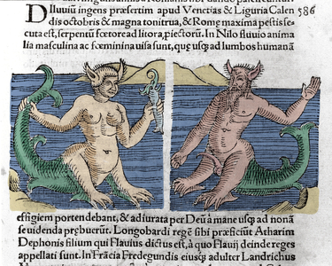 Fantastic creatures: A newt and a siren seen in the Nile. Engraving from “” Le livre des prodiges”” (Prodigiorum ac ostentorum Chronicon Basileae) by Wolfhart (Conrad Lycosthene) 1557