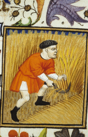 Allegorical representation of July. Harvest: a peasant mowing golden wheat. Miniature of a 14th century manuscript.