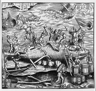 Fishing and whaling, based on a wood engraving from Thevet's “Universal Cosmography”. Paris 1575