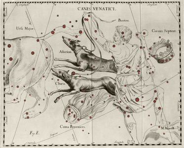 The constellation Canes Venatici, Hunting Dogs. Plate drawn from “” Firmamentum Sobiescanum sive Uranographia”” by Johannes Hevelius or Hevel (1611-1687), 1690.