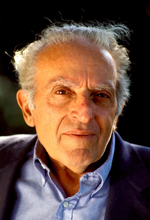 portrait of Luigi Malerba, Italian writer and realisateu.