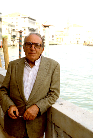 portrait of Luigi Malerba, Italian writer and realisateu.