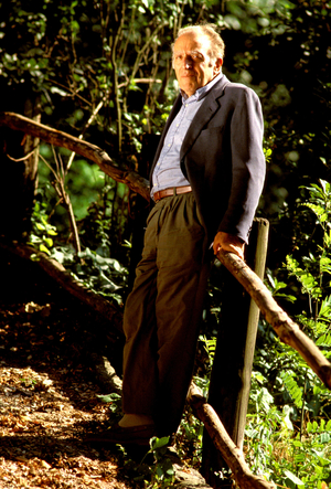 portrait of Luigi Malerba, Italian writer and realisateu.