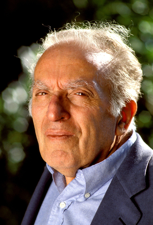 portrait of Luigi Malerba, Italian writer and realisateu.
