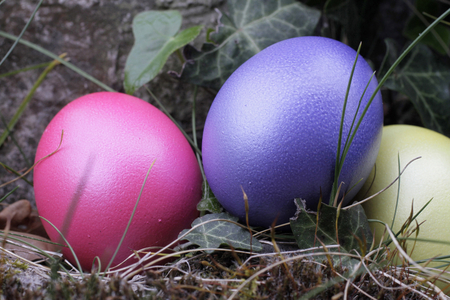 Colourful Easter eggs, Saint-Gervais-les-Bains, France