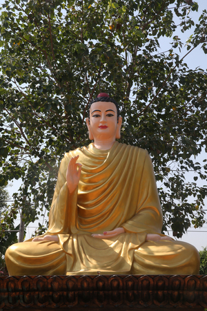 Chua Thien Lam Go buddhist pagoda. Sakyamuni Buddha statue. Thay Ninh. Vietnam