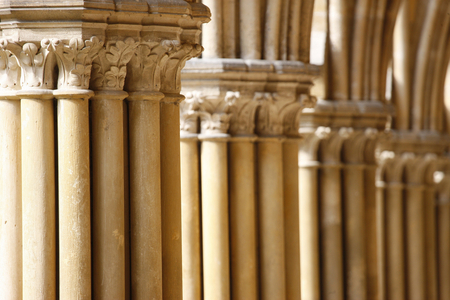 Royaumont abbey cloister capitals & pillars, Asnieres-sur-Oise, France