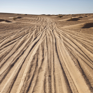 Tracks on desert sand, Tunisia