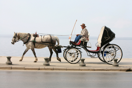 Horse-drawn carriage, Thessalonique, Grece