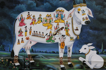 Hindu painting. Sacred cow and calf. India