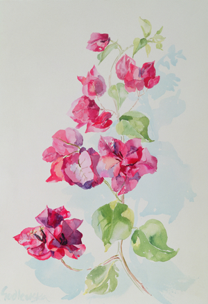 No.2 Bougainvillea Red (w/c)
