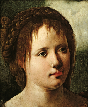 Head of a Girl, 1530/35 (oil on panel)