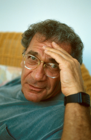 American realizer Sidney Pollack in 1992