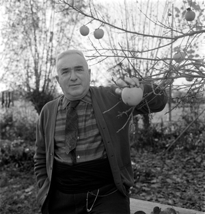 THE WRITER GIOVANNI COMISSO - TREVISO - 1962