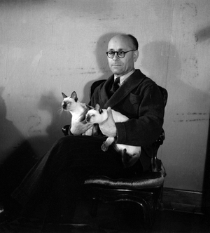 THE POLITICIAN AND STATESMAN UMBERTO TERRACINI, PRESIDENT OF “” COSTITUENTE”” - ROME - 1947 (with Siamese cats)