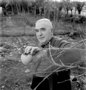 THE WRITER GIOVANNI COMISSO - TREVISO - 1962