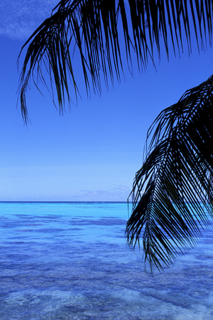French Polynesia (photo)