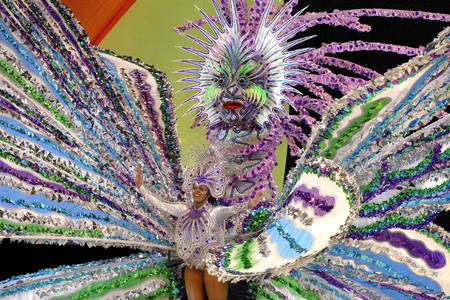 Trinidad, Carnival 2008 in Port of Spain (photo)