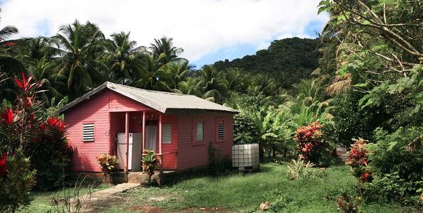 Habitat, West Indies, Caribbean, Dominica (photo)