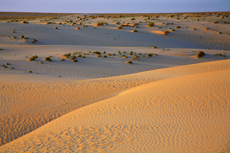Tunisia, Desert (photo)