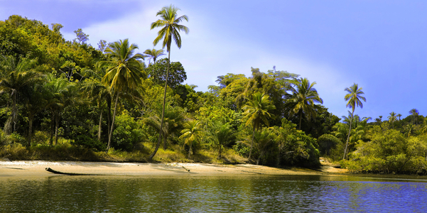 Camamu Bay, Isla Grande, Bahia State, Brazil (photo)