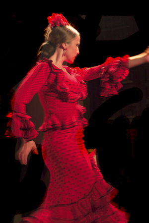 Flamenco, Andalusia, Spain (photo)