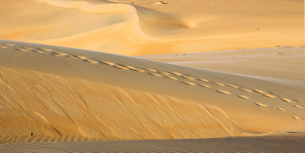 Senegal, desert of Lompoul (photo)