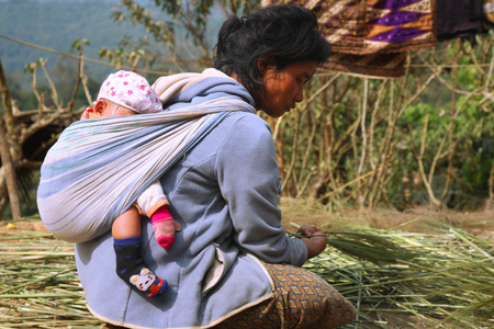 Laos, Northern Province, handicraft, broom making preparation (photo)