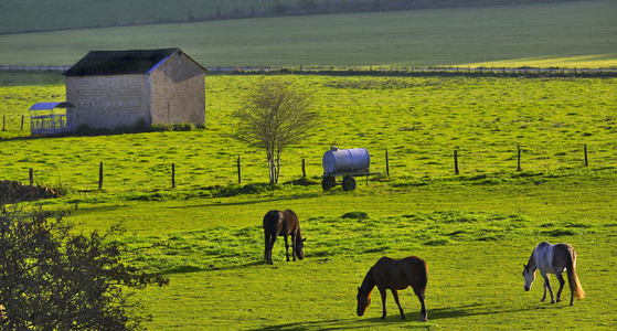 In Florenville, Semois Valley, Province of Luxembourg, Belgium (photo)
