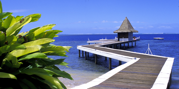 French Polynesia, Moorea Island (photo)