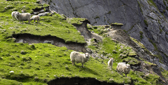 Shetland Islands, Scotland (photo)