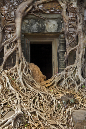 Temple of Prasat Bram, remote Angkorian site in Koh Ker, Cambodia (photo)