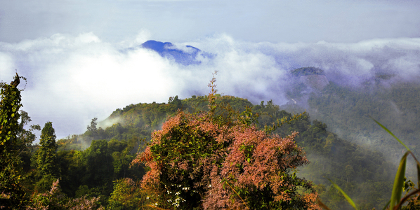 Laos, Northern Province, mountains and mist (photo)