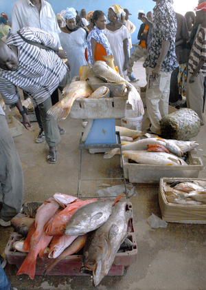 Senegal, Mbour fish market (photo)