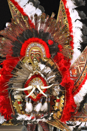 Trinidad, Carnival 2008 in Port of Spain (photo)