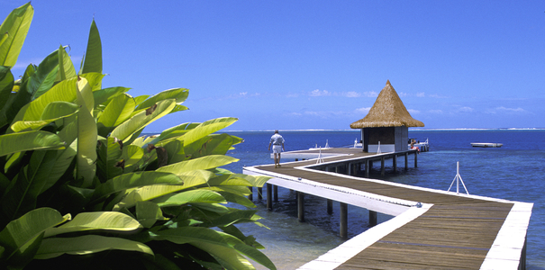 French Polynesia, Moorea Island (photo)