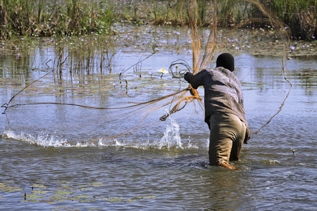 Senegal, Djoudj Natural Park, Hawk fishing (photo)
