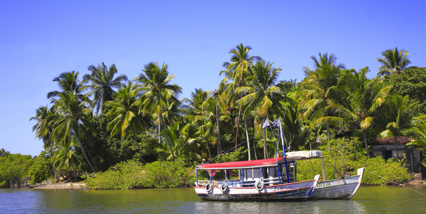 Camamu Bay, Ile Grande, Bahia State, Brazil (photo)