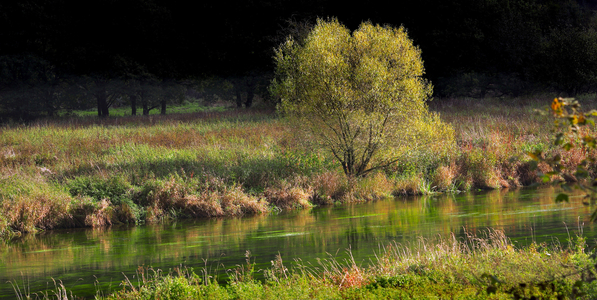 Semois Valley, Semois Valley, Province of Luxembourg, Belgium (photo)