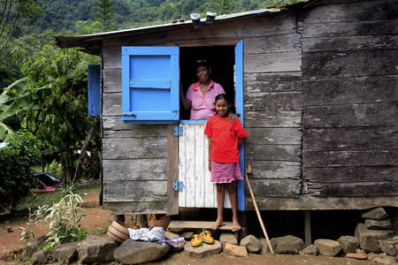 Habitat, West Indies, Caribbean, Dominica (photo)