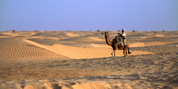 Tunisia, Meeting in the dunes of the Tunisian desert near Douz (photo)