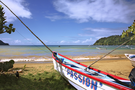 Tobago Island (Caribbean Islands): Charlotteville, Man O'War Bay