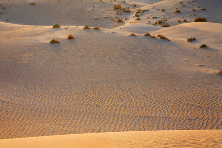 Tunisia, Desert (photo)