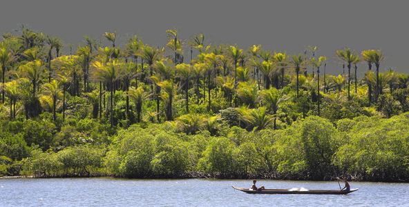 Camamu Bay, Bahia State, Brazil (photo)