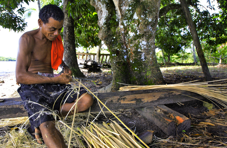 Preparing palm leaves for braiding, State of Bahia, Brazil (photo)