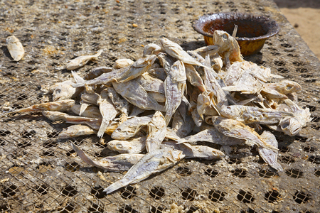 Senegal, Kayar, fish dryer (photo)