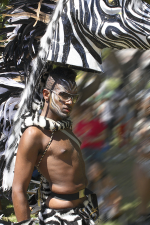 Trinidad, Carnival 2008 in Port of Spain (photo)
