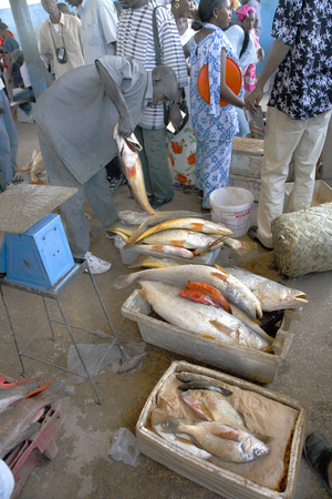 Senegal, Mbour fish market (photo)